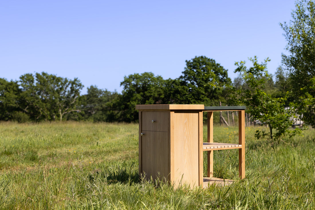 Biophilic Design: Why Nature Makes Us Feel at Home