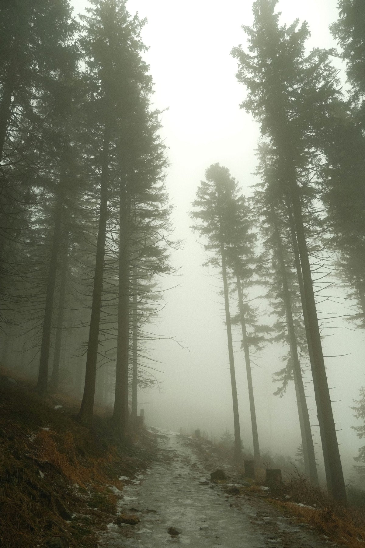 Getting Outside this Autumn
