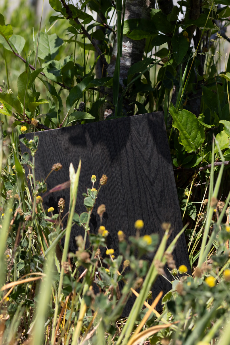 Black Oiled Crown Oak Sample