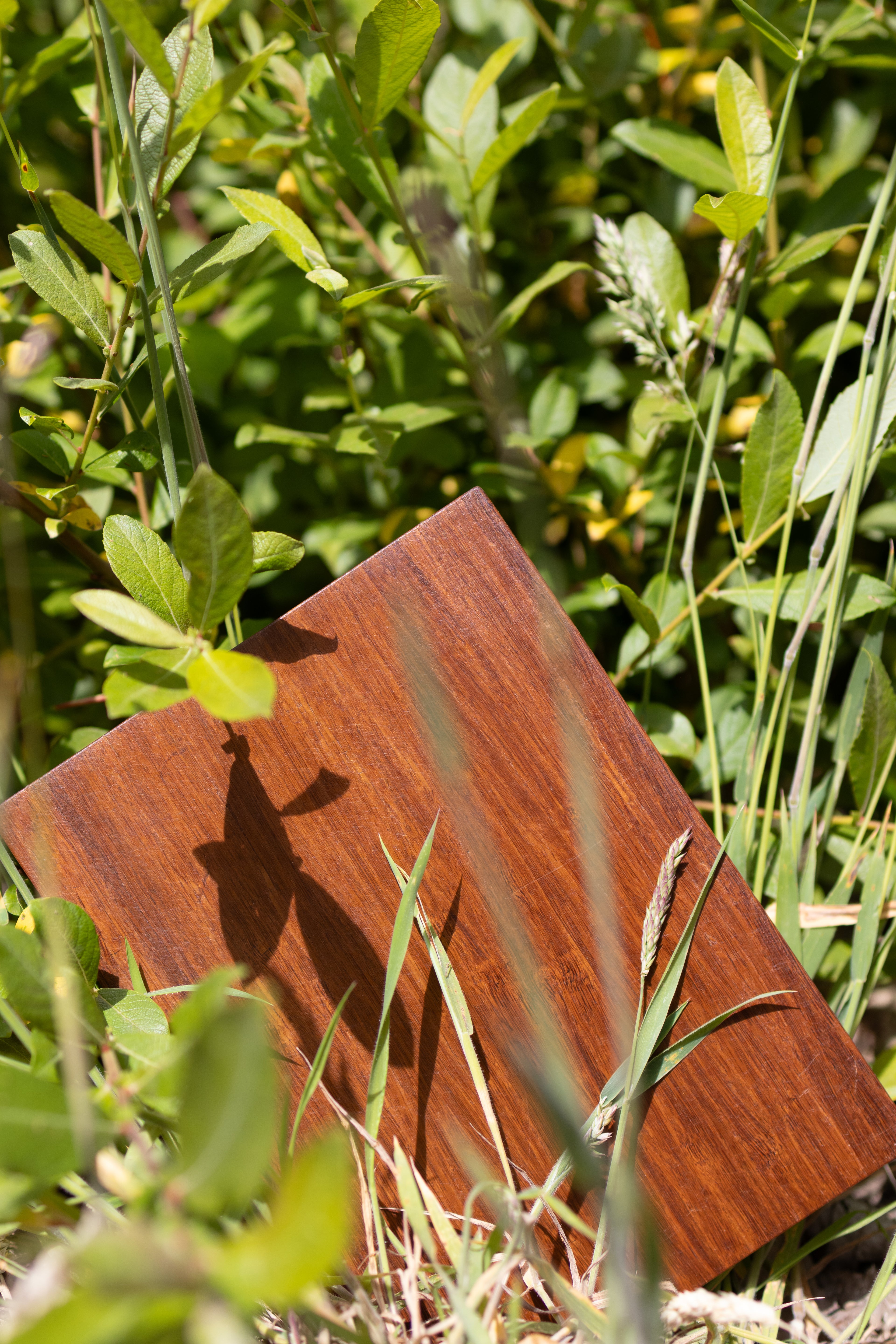 Caramel Bamboo Sample