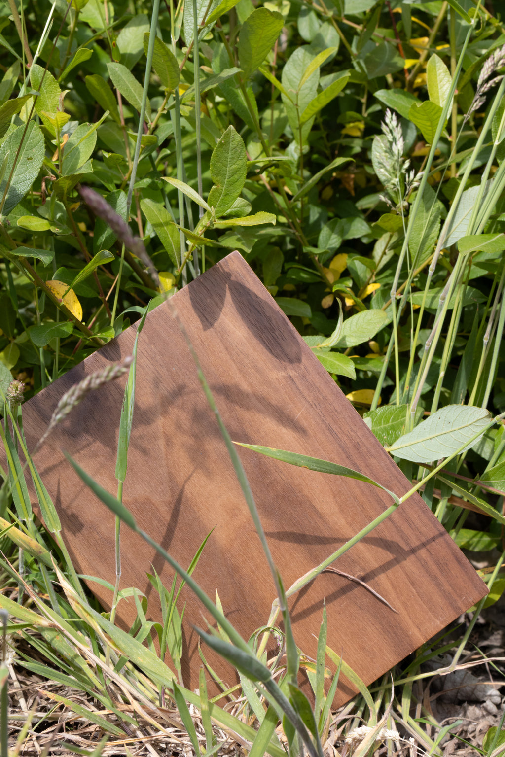 Walnut Sample