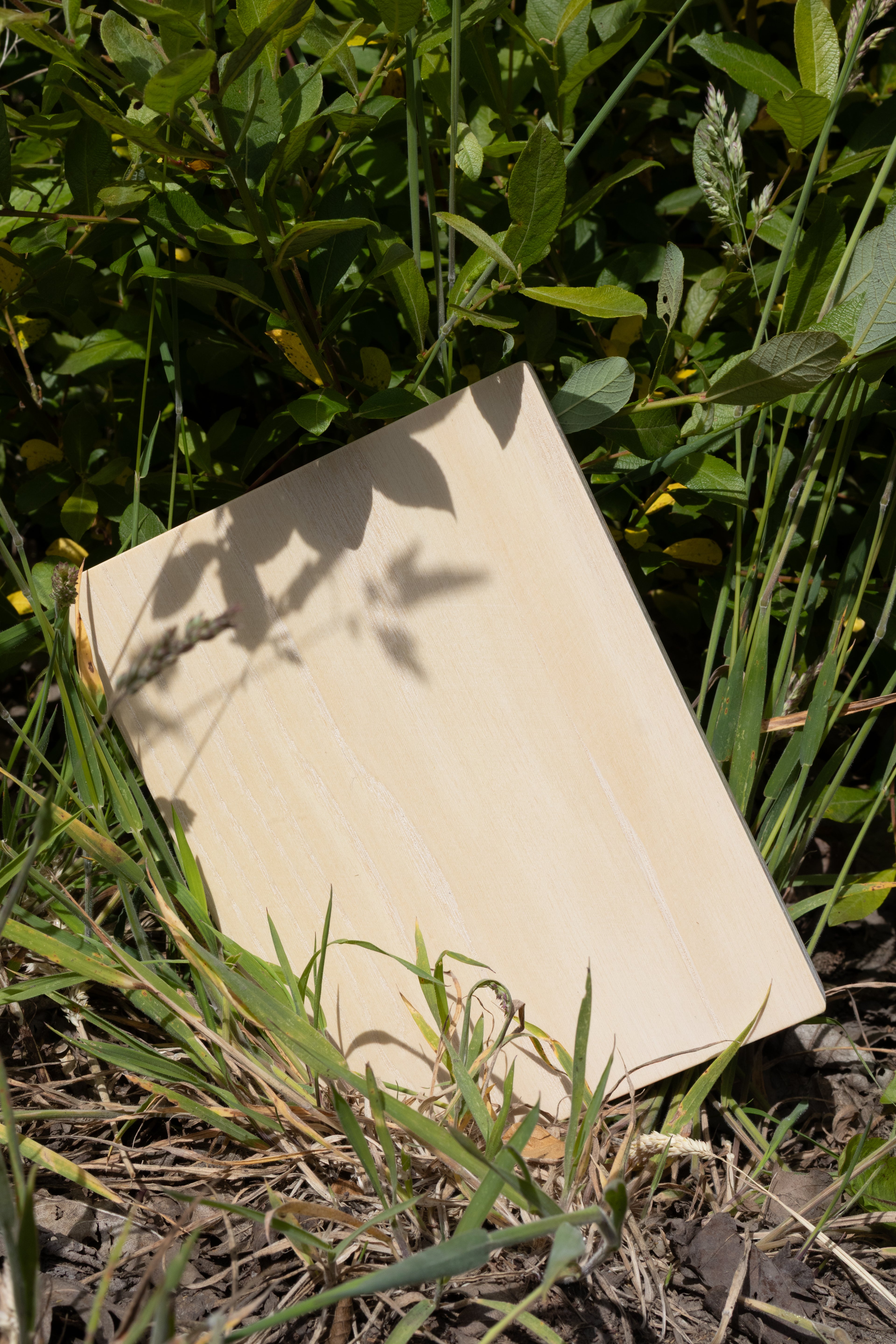White Ash Sample