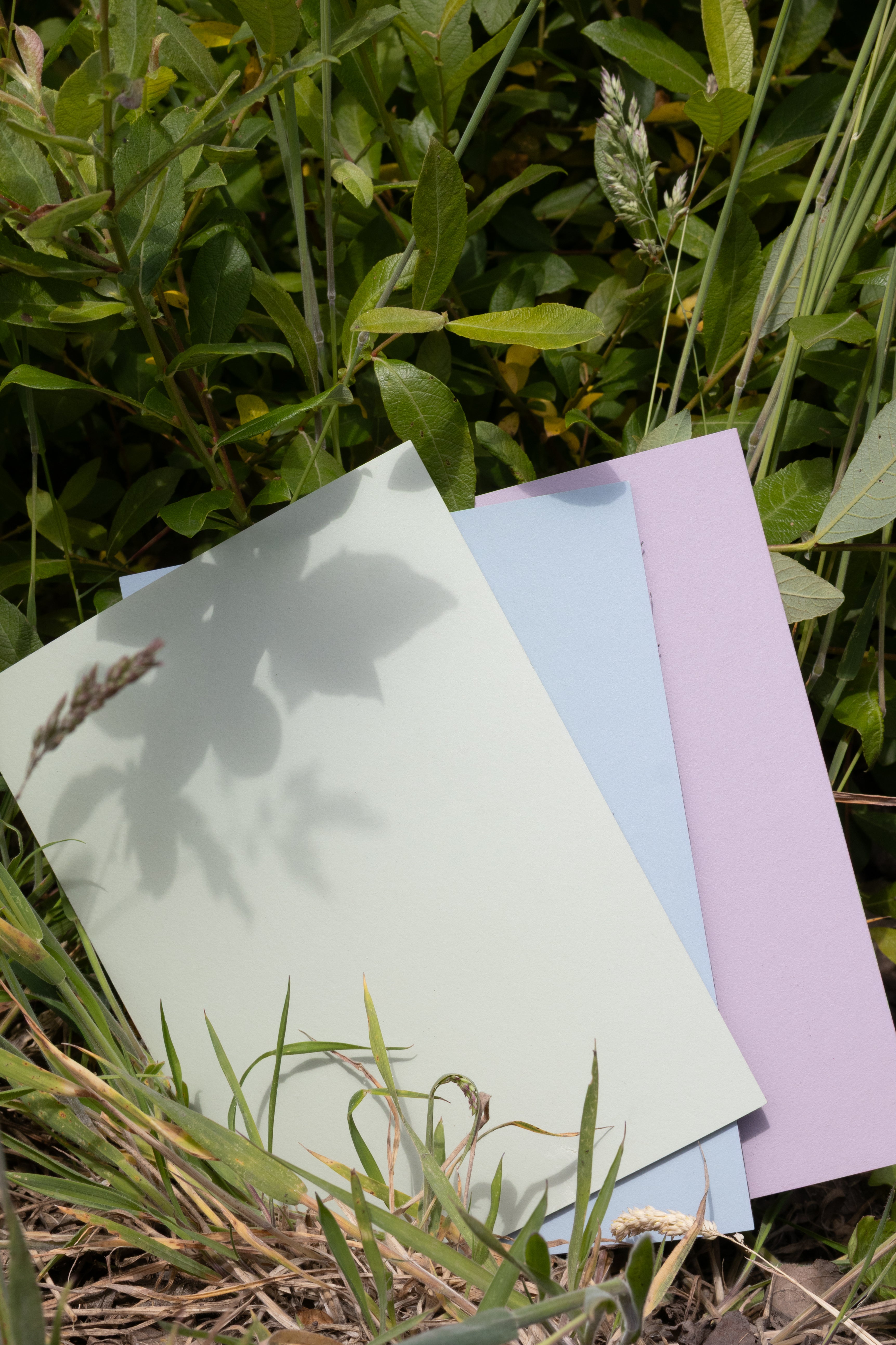 Forbo Samples