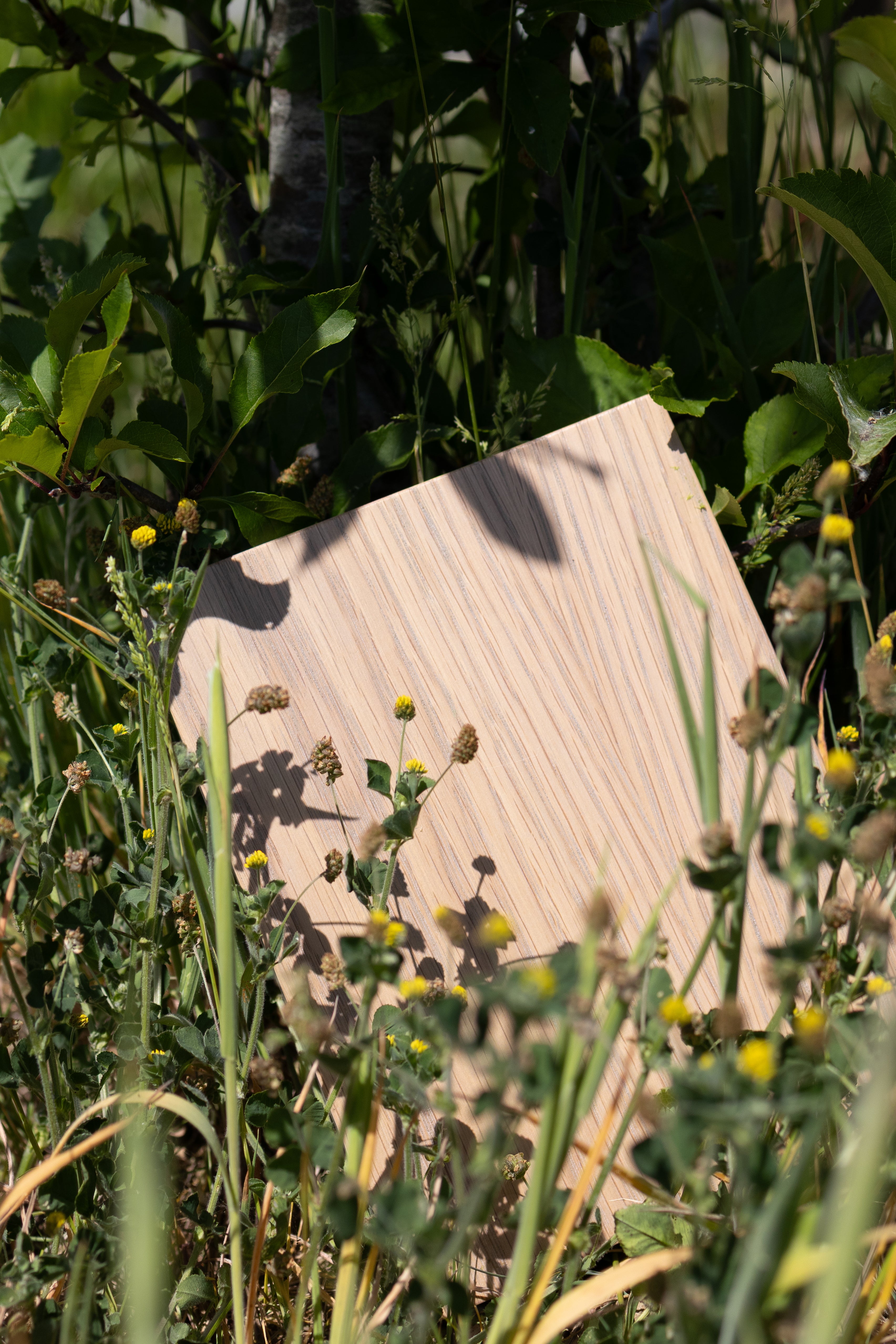 Grey Oak Sample