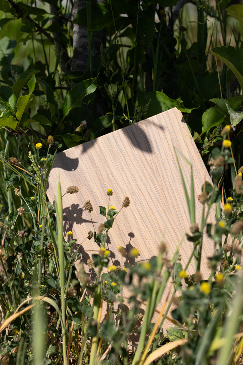 Grey Oiled Crown Oak Sample