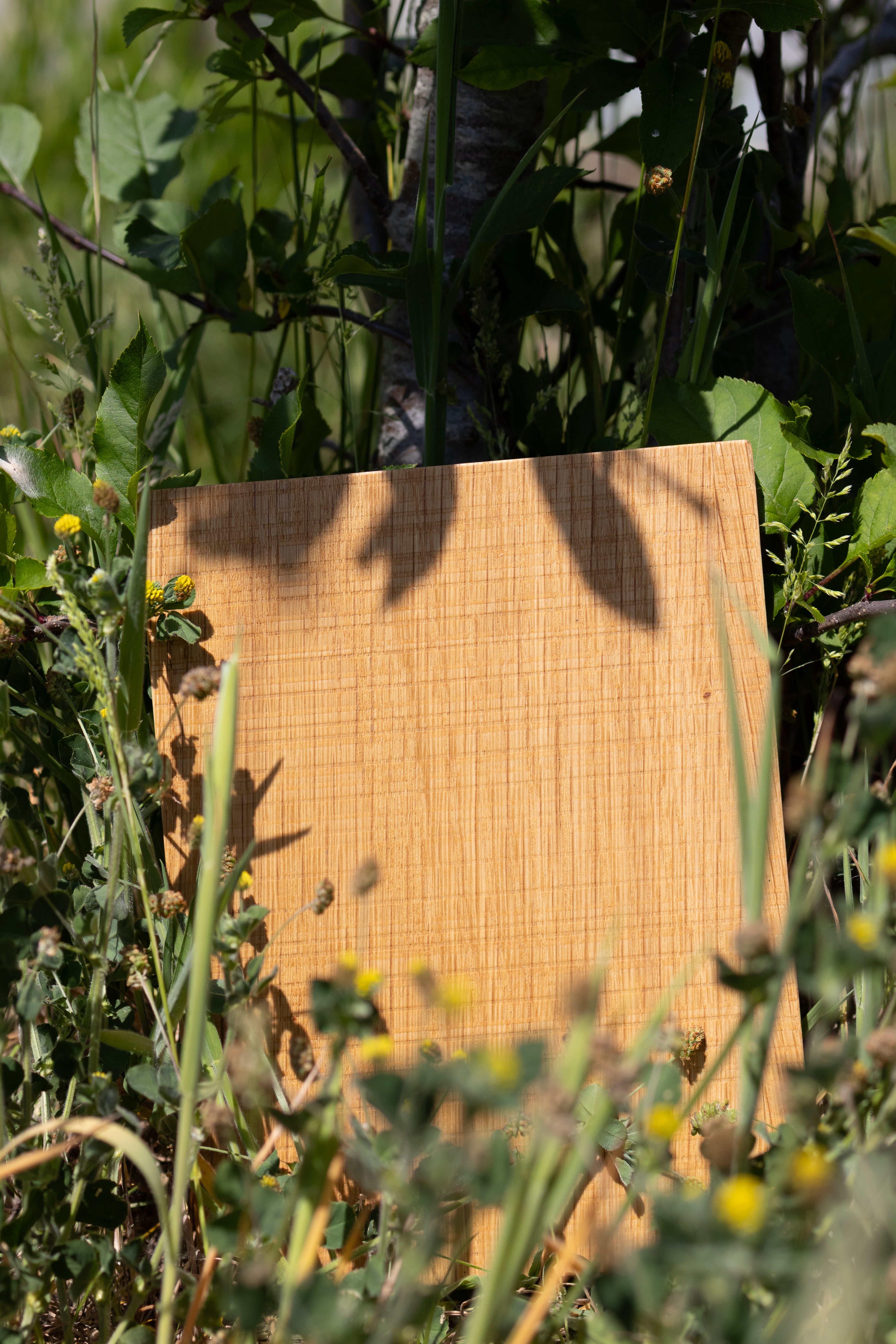 Natural Oiled Textured Oak Sample