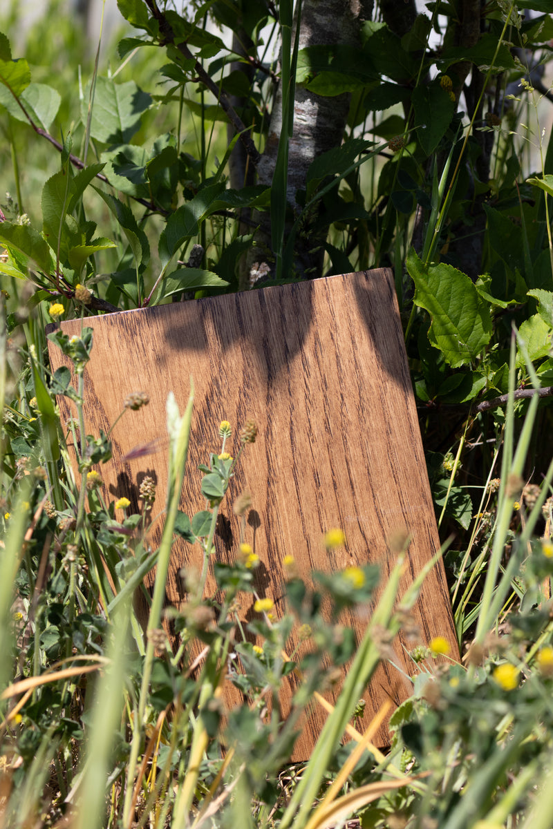 Brown Terra Oiled Crown Oak Sample