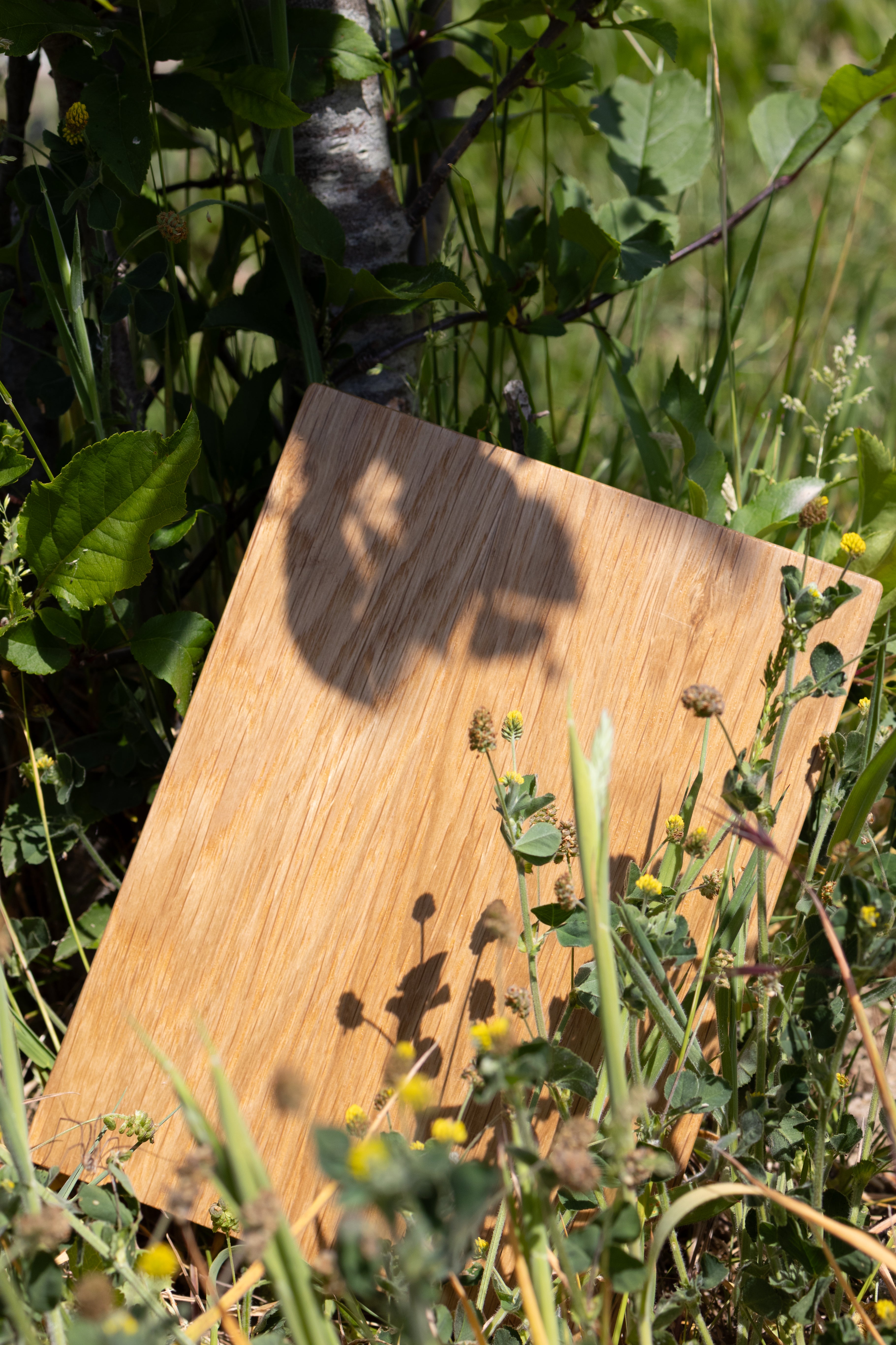 Natural Oak Sample
