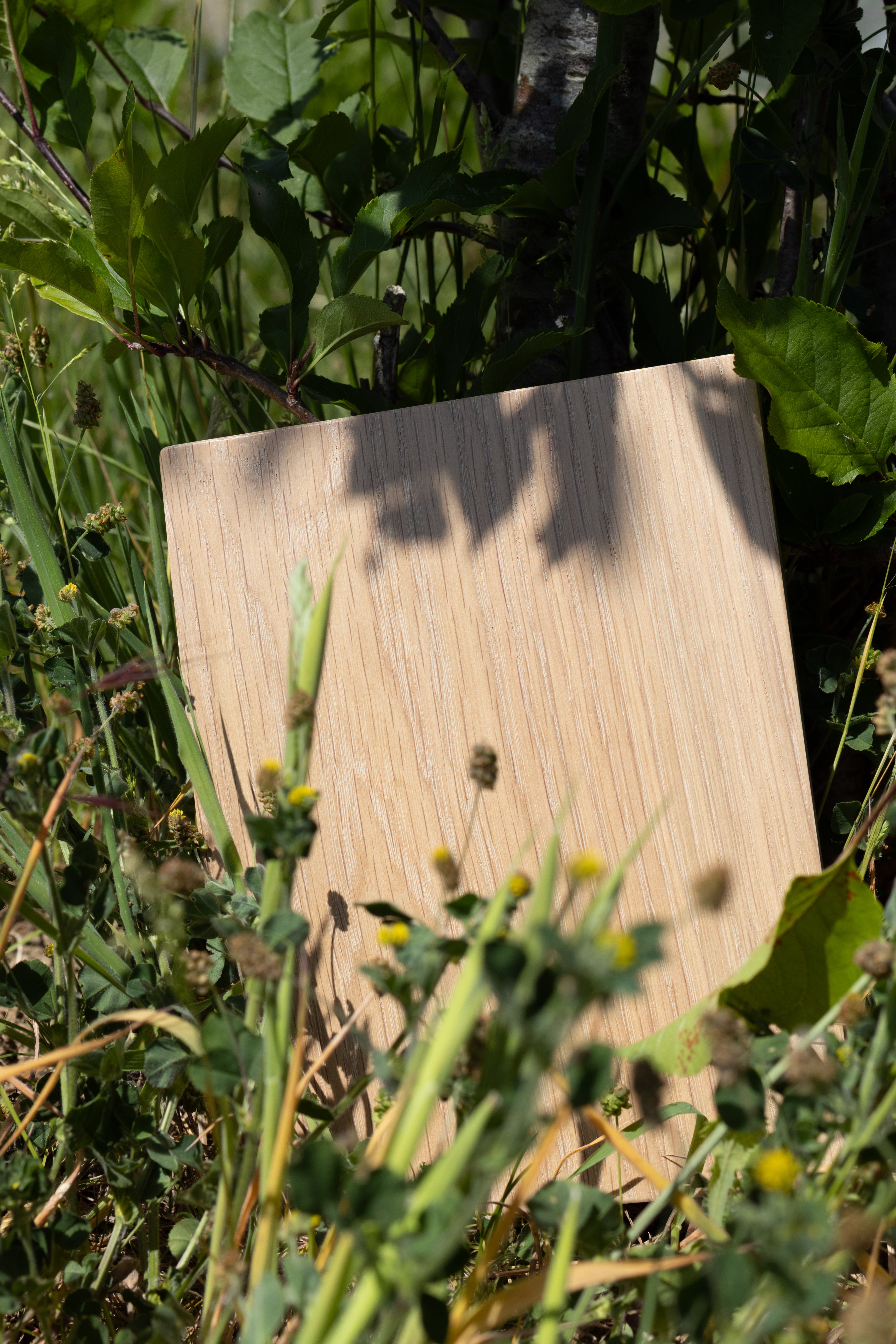 White Oak Sample